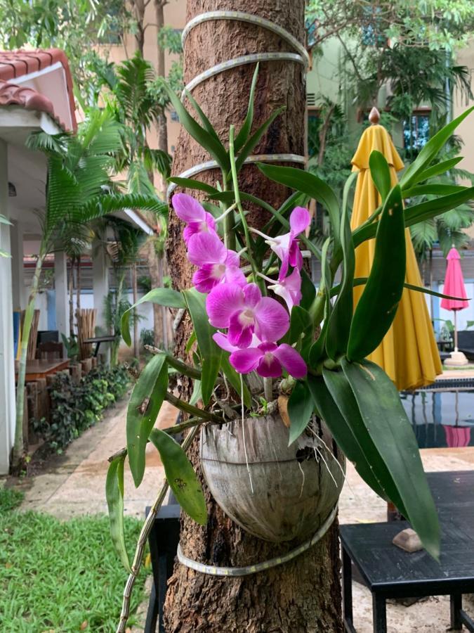 Angkor Magic Tree Boutique Hotel Siem Reap Luaran gambar