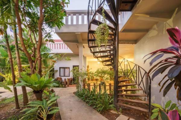 Angkor Magic Tree Boutique Hotel Siem Reap Luaran gambar