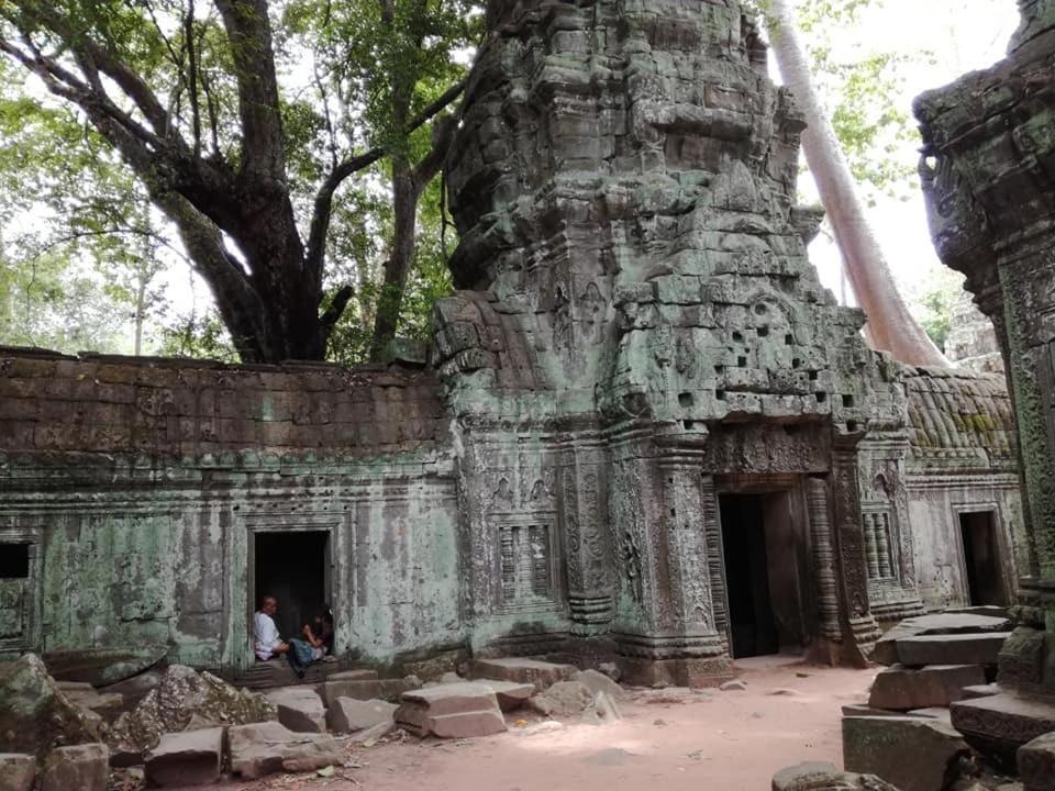 Angkor Magic Tree Boutique Hotel Siem Reap Luaran gambar