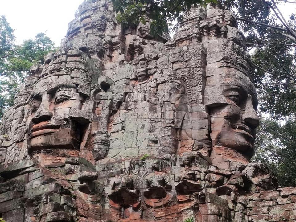 Angkor Magic Tree Boutique Hotel Siem Reap Luaran gambar