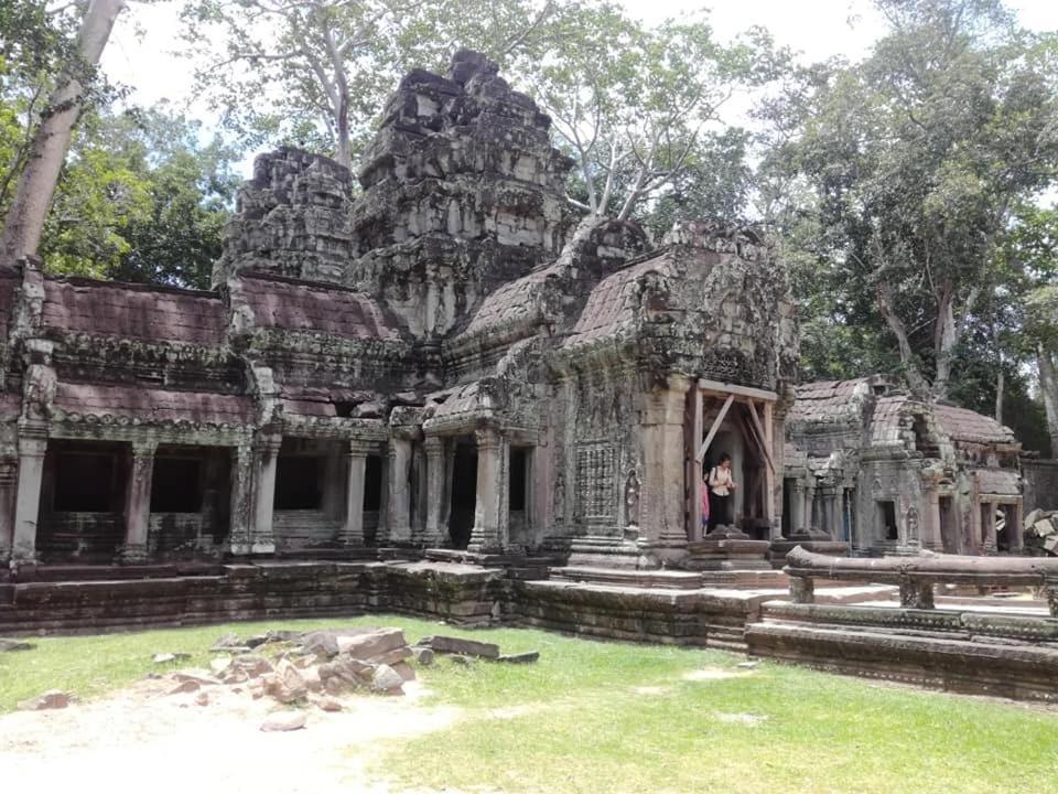 Angkor Magic Tree Boutique Hotel Siem Reap Luaran gambar